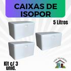 3 Caixas de Isopor EPS 5 litros para Gelo, refrigerante, latas, sorvetes e medicamentos. - Mundi Eps