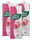 3 Chá Branco Feel Good Sabor Pitaya Zero Açúcar 1l 1000ml