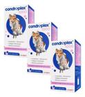 3 Condroplex 1000mg 180 Cáp Suplemento Cães E Gatos Avert