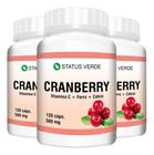 3 Cranberry + Vitamina C + Ferro + Cálcio Kit 360 Cáps 500mg