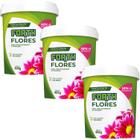 3 Fertilizante Forth Flores 400g  Favorece o florescimento