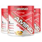 3 Intra Amino Eaa 9 Aminos Bcaa Tangerina 201g Adaptogen