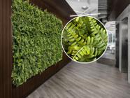 3 Painéis de Muro Verde com Folhagem Artificial Permanente Placa Decorativa 3D Realista para Paredes - Decora Flores Artificiais