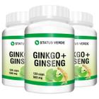 3 Potes Ginkgo Biloba Biloba + Ginseng 120 Cáps - Status Verde