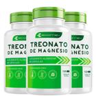 3 Potes Magnesio Treonato 500Mg Formula Pura Importada 360Cáps Ecomev