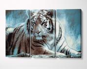 3 Quadros em Tecido Canvas Tigre Siberiano Branco Animal