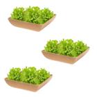 3 Saladeira Quadrada 1,4 Lt Petisqueira Evo Marrom Claro