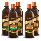 3 Shampoos 2 Condicionadores Aveia 500ml Yabae