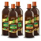 3 Shampoos e 2 Condicionadores Guaxima 500ml Yabae