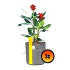 3 Vasos de Plantas 11 Litros de Tela