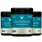 3 x Glutamina 300g Eleve Life - imunidade, recuperação muscular e saúde intestinal