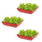 3un Saladeira Quadrada 1,4 Lt Travessa Petisqueira Vermelho