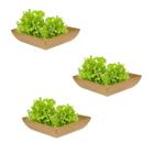 3un Saladeira Quadrada 2,9 Lt Vasilha Petisqueira Marrom Cl - Evo