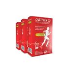 3X Cartflen C2 Colageno Tipo Ii Hf Suplementos 60 Comp - HF Suplements