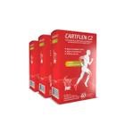 3x CARTFLEN C2 COLAGENO TIPO II HF SUPLEMENTS 60 COMP