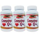 3x Coenzima Q10 - 500mg Com 60 Cápsulas - Rei Terra