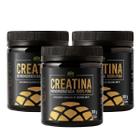 3x Creatina Monohidratada 100% Pura Alquimia da Saúde 300g