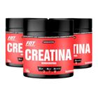 3x Creatina Monohidratada 100g em pó Furynutrition - Itaervas