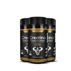 3X Creatina Monohidratada 3G Pure 120Caps Hf Suplementos - HF Suplements