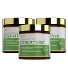 3x Creatina Monohidratada Powerfuel Trust Fuel 300g