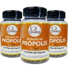 3x Extrato de Propolis Q-VITA 60 Cápsulas 250g