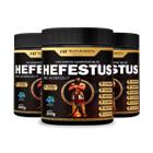 3x HEFESTUS PRE TREINO HF SUPLEMENTS BLUEBERRY 300G