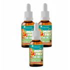 3x Imunitrix- Vitamina C- Vitamina D- Zinco- 30ml- Morango