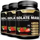 3x isolate mass hipercalorico proteinas nobres 2kg morango