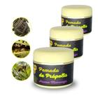 3X Pomada Extrato Própolis BEES BUZZ 30g aroma Maracujá