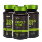 3x Própolis Verde Compostos Fenólicos 60mg 70 Caps Omix