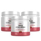 3x True Collagen Cranberry Hibisco True Source 420g