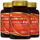 3x Vitamina B12 Metilcobalamina + Ferro + Ácido Fólico 60 Vegan Caps - Flora Nativa do Brasil