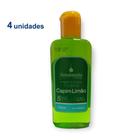 4 Cheirinho Concentrado Desinfetante Limpeza Essência Casa Ambiente 140ml da Senalândia - Envio Já