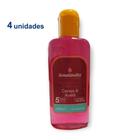 4 Cheirinho Concentrado Desinfetante Limpeza Essência Casa Ambiente 140ml da Senalândia - Envio Já