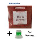 4 Sachê Perfumado Gaveta Armário Cheirinho de Flor Cerejeira Roupa Top Marca Senalândia - Envio Já