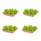 4 Saladeira Quadrada 1,4 Lt Petisqueira Evo Marrom Claro