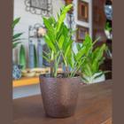 4 un Vaso plantas colmeia decorativo flores G MARROM ESCURO