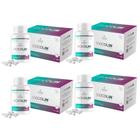 4x Biocolin - HAIR - 60 cápsulas de 500mg - Biocolin Hair