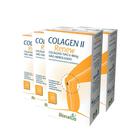 4X Colágeno Tipo2 Renew + Vit. + Min. 30 Cáps Bionatus