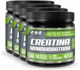 4x Creatina Monohidratada Sabor Limão 300g FNB Sport Nutrition - Flora Nativa do Brasil