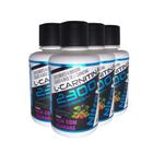 4x l-carnitina 2300 com chromium 480ml açai com guarana