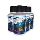 4x l-carnitina 2300 com chromium 480ml  açai com guarana