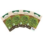 4X Sementes de Alface Crespa Elba TOPSEED