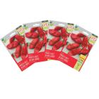 4X Sementes de Pimenta Bhut Jolokia Aimoré Super ISLA