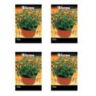 4X Sementes de Tomilho/Timo FELTRIN