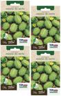 4X Sementes Maxixe Do Norte TOPSEED