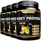 4X Whey Protein Power Nutrition Maracuja Hf Suplementos - HF Suplements