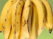 5 Mudas De Banana Da Terra - Resistente A Doenças