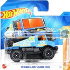 5785 Hot Wheels Carros Básicos Mercedes Benz Unimog 1300L HKJ99 - Mattel (41847)