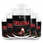 5x Creatina Monohidratada 600 Cápsulas 300g